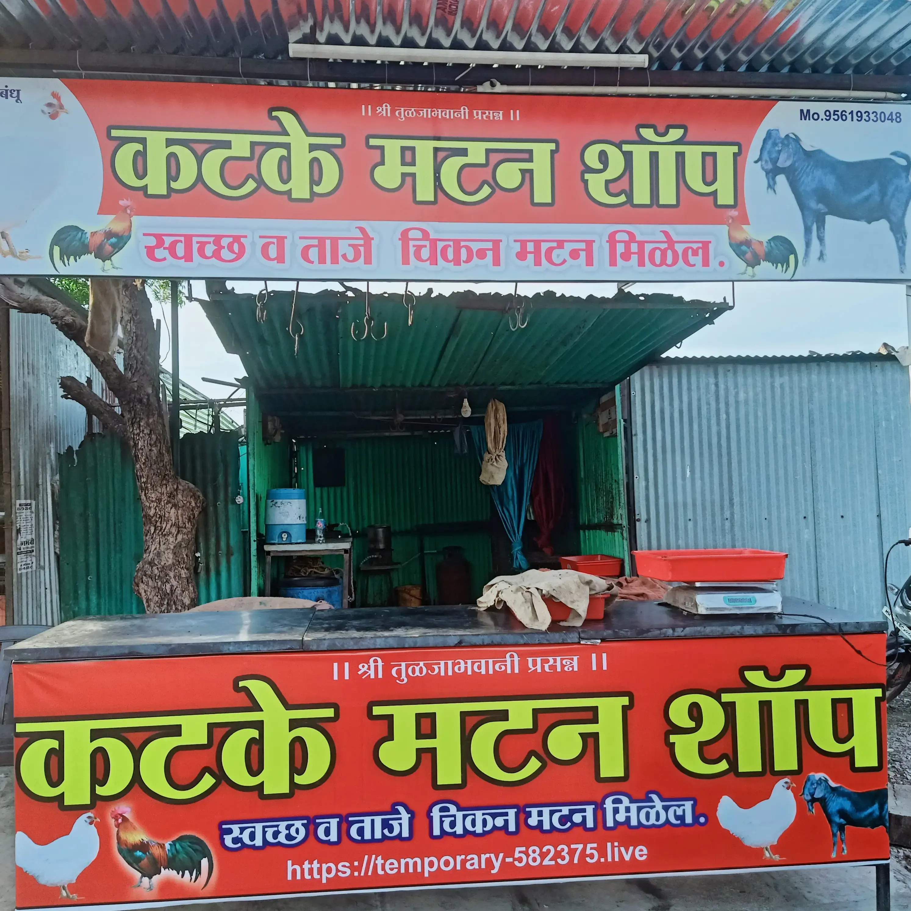 store logo